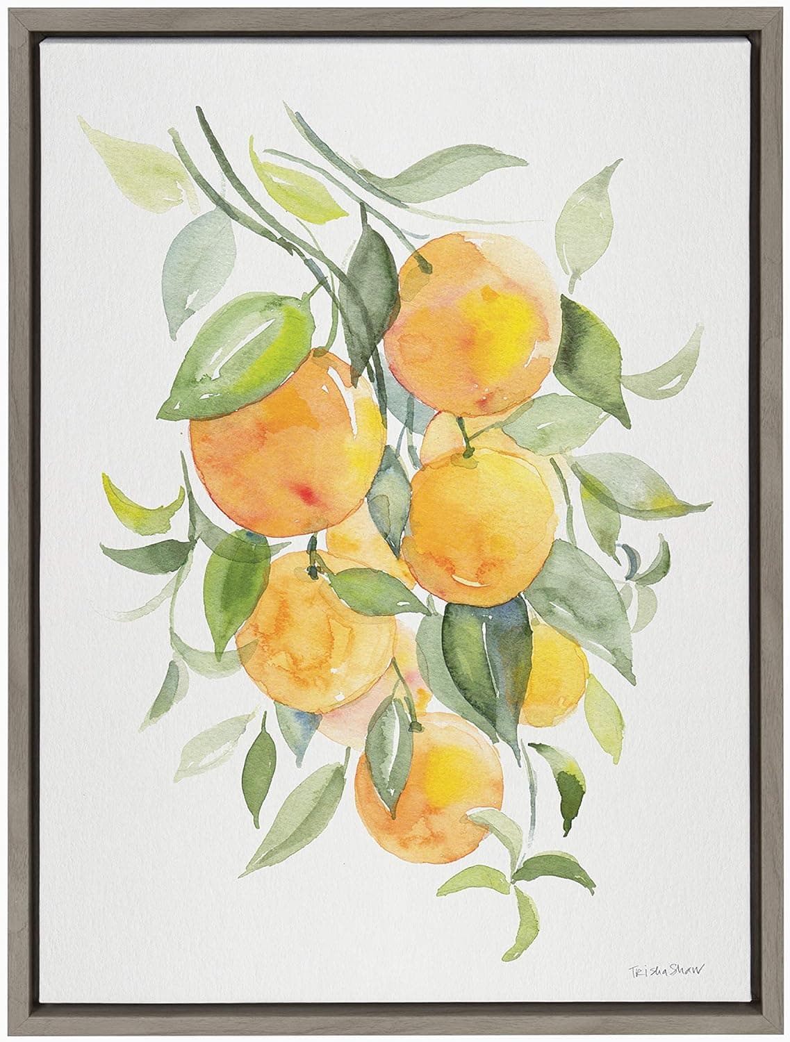 Kate and Laurel Sylvie Orange Citrus Framed Canvas Wall Art by Patricia Shaw, 18x24 Gray, Vibrant Fruit Art for Wall