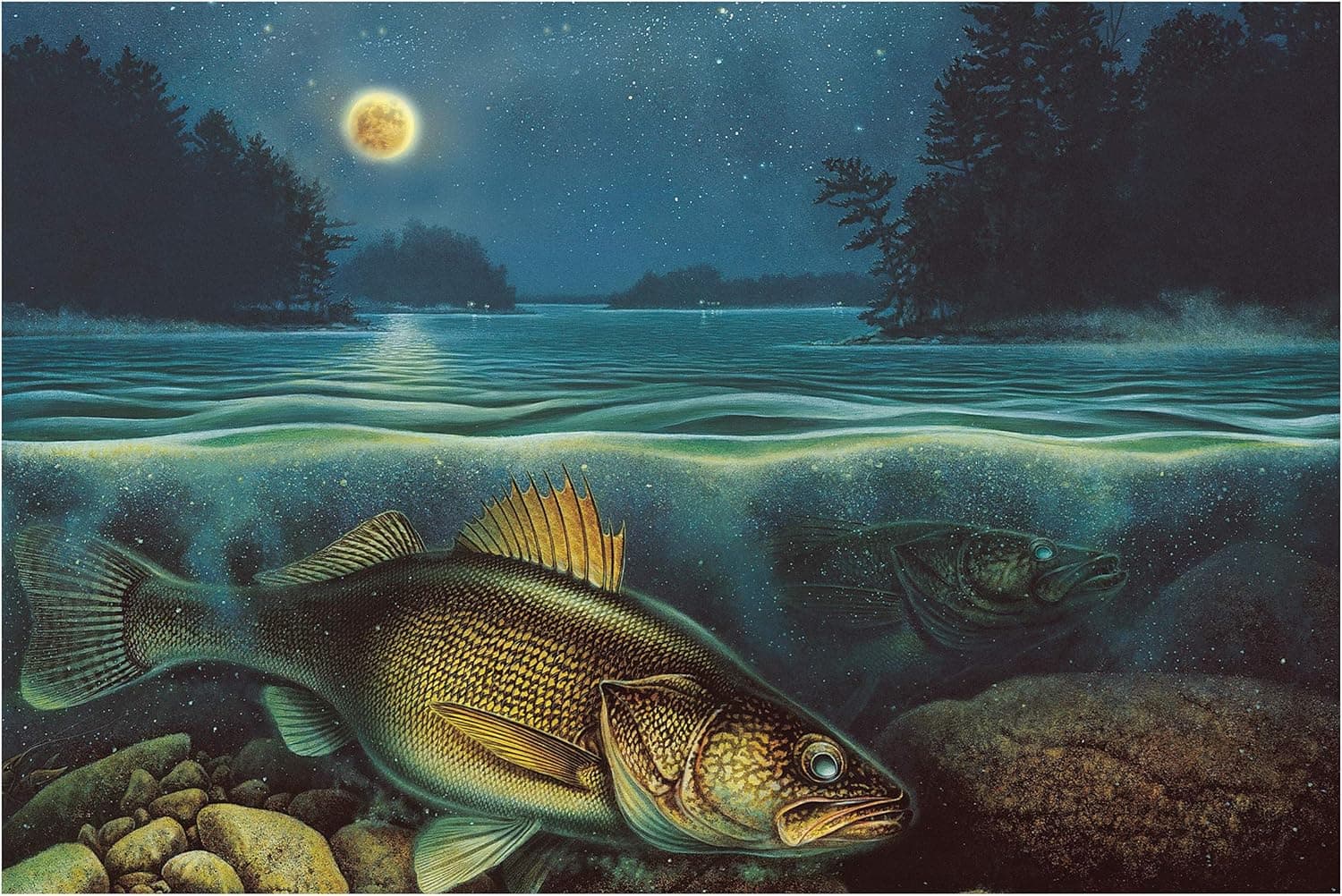 River's Edge Harvest Moon Walleye by Jon Q Wright LED Lighted Gallery Wrapped Canvas Art, 24" X 16"