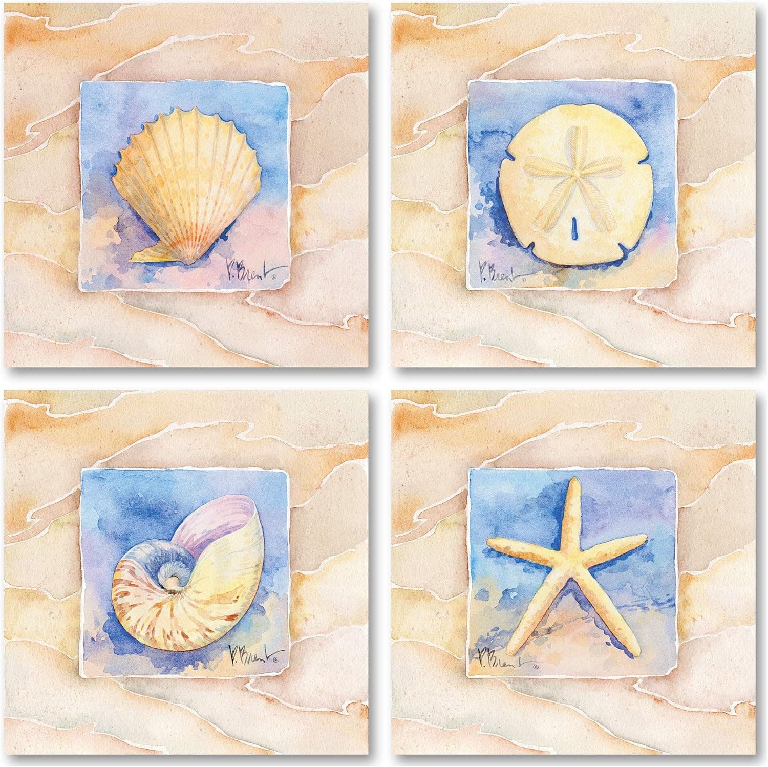 Vintage Starfish, Sand Dollar, Nautilus, & Scallop Prints; Perfect for Framing; 4 8x8 Prints