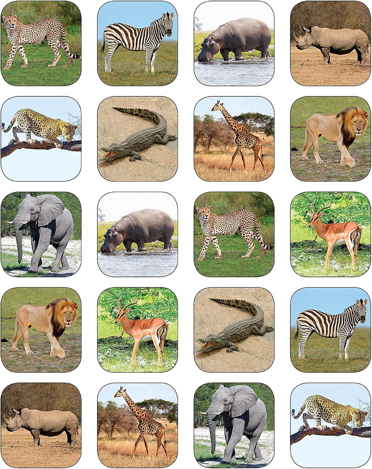 Teacher Created Resources 5468 Safari Animals Stickers