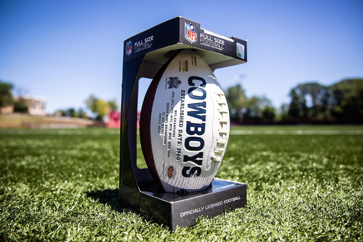 NFL Signature Series Team Full Size Footballs (All Team Options)