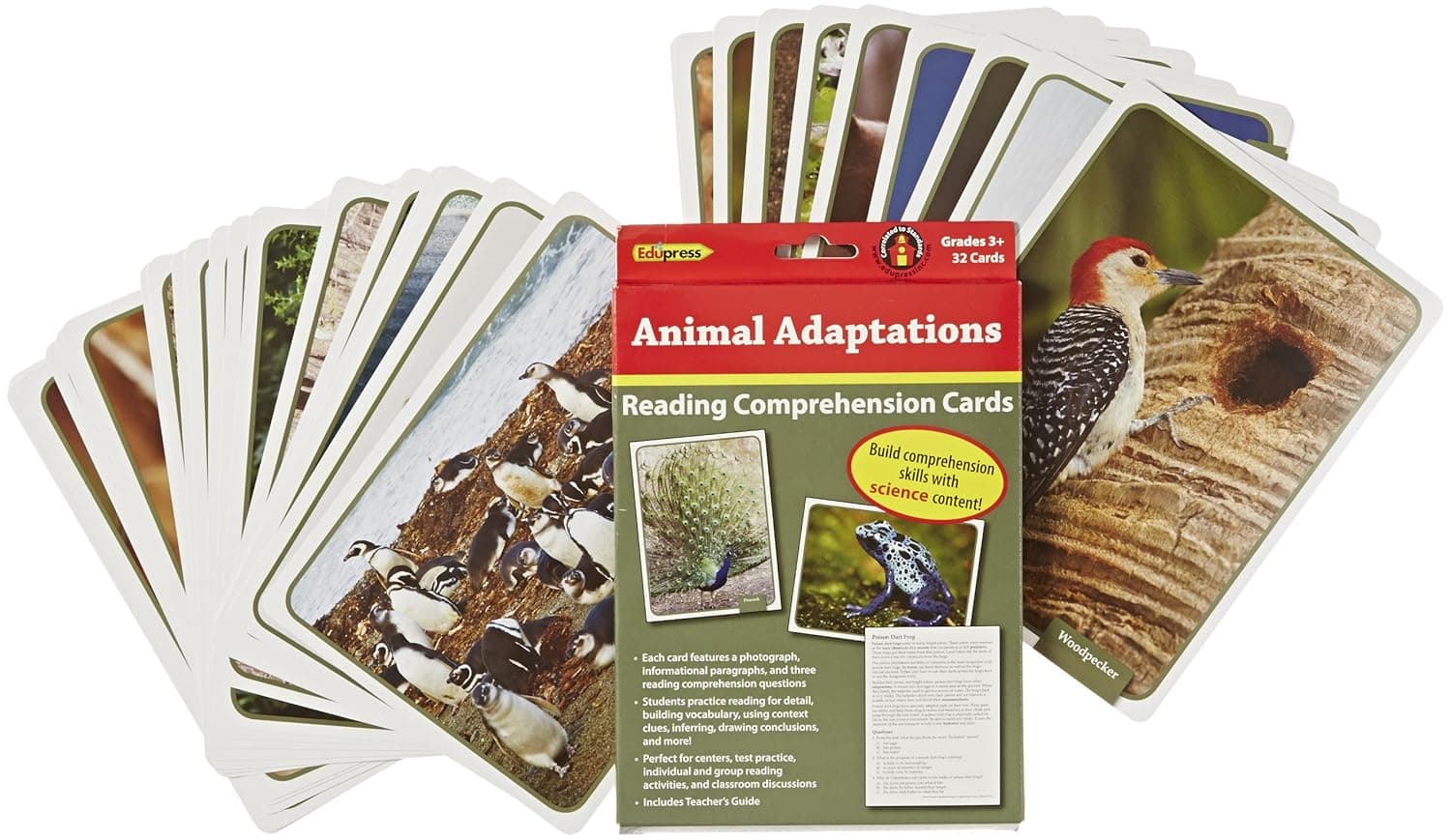 Edupress 32 Piece Reading Comprehension Science Cards Set with Animal Adaptations