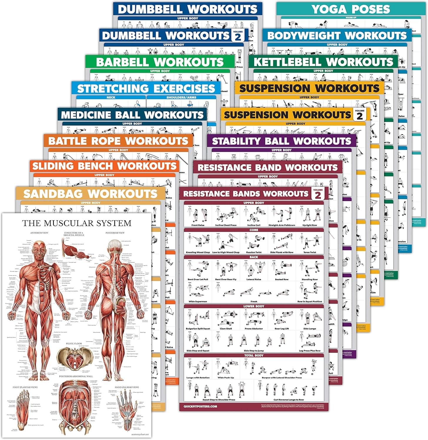 Palace Learning 17 Pack - Exercise Workout Poster Set: Dumbbell, Suspension, Kettlebell, Medicine Ball, Battle Rope, Resistance Bands, Stretching, Bodyweight, Barbell, Yoga and More