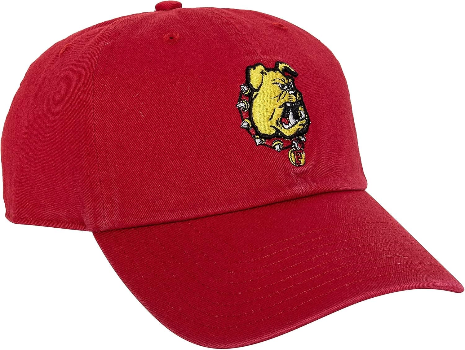 Desert Cactus unisex-adult Baseball