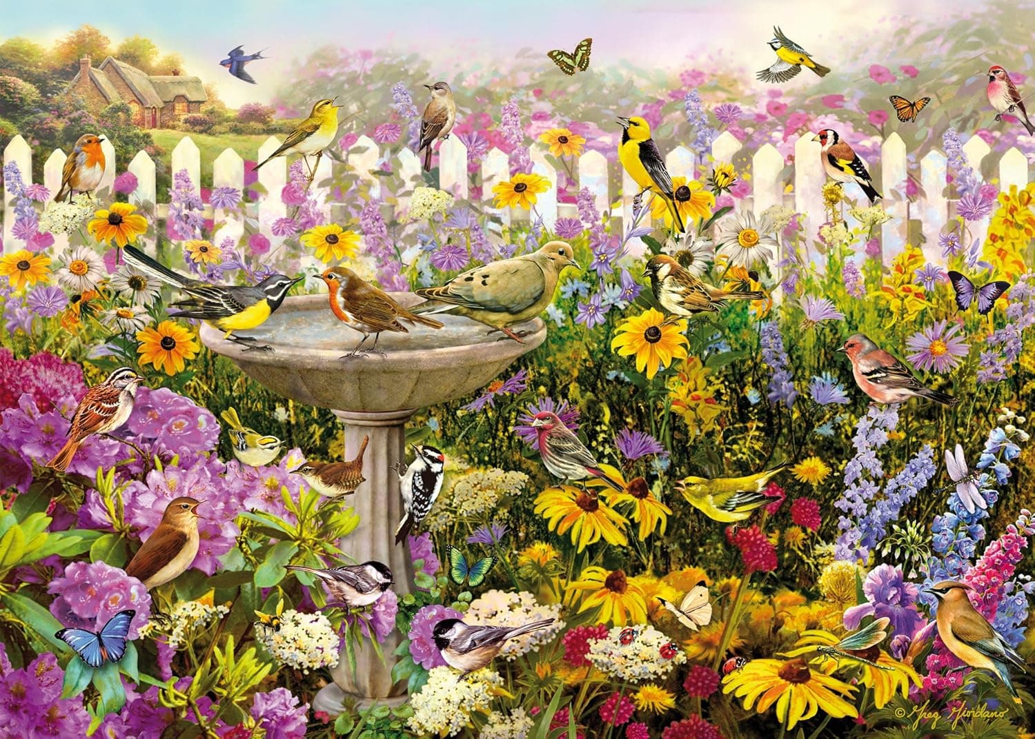 Wentworth Bird Bath Bonanza 250 Piece Wooden Greg Giordano Jigsaw Puzzle