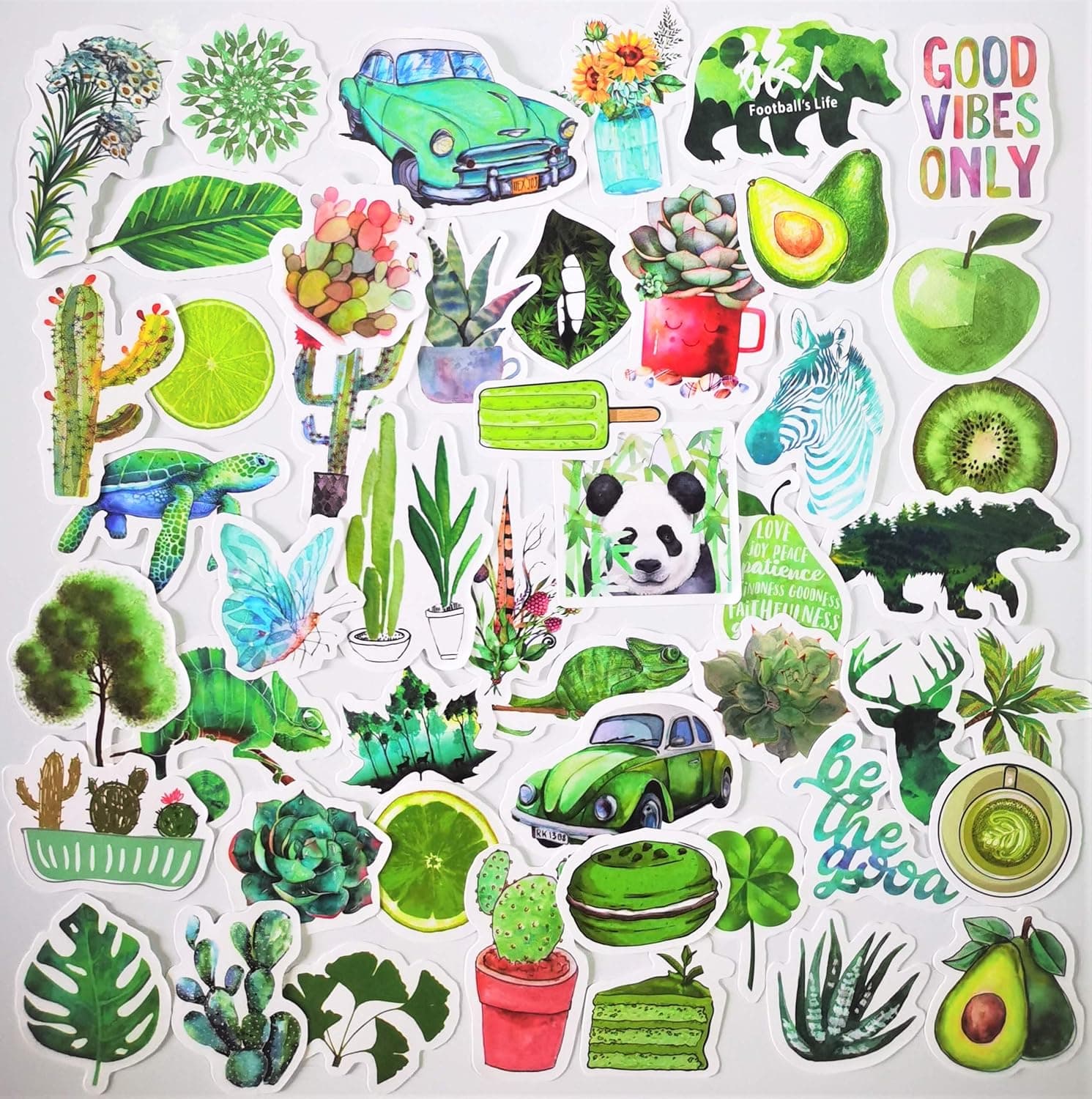 50 Small Fresh Girl Stickers Plant Stickers Waterproof Vinyl Kettle Computer Suitcase Guitar Refrigerator Decals Children Boys Girls Teen Adult Sticker Pack