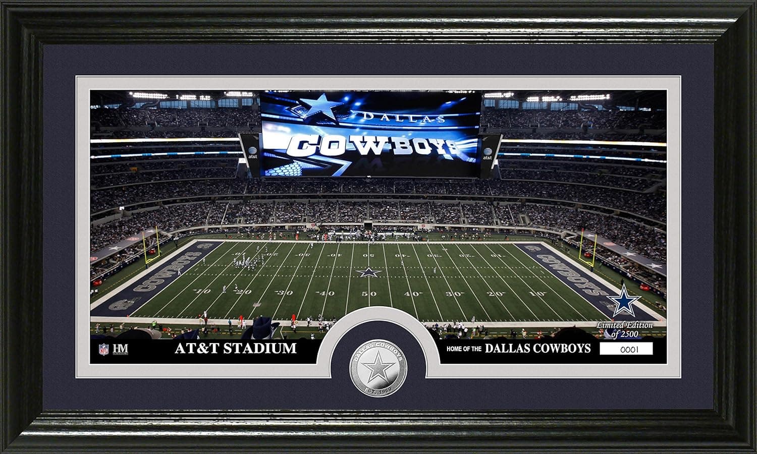 NFL "Stadium" Panoramic Photo Minted Coin