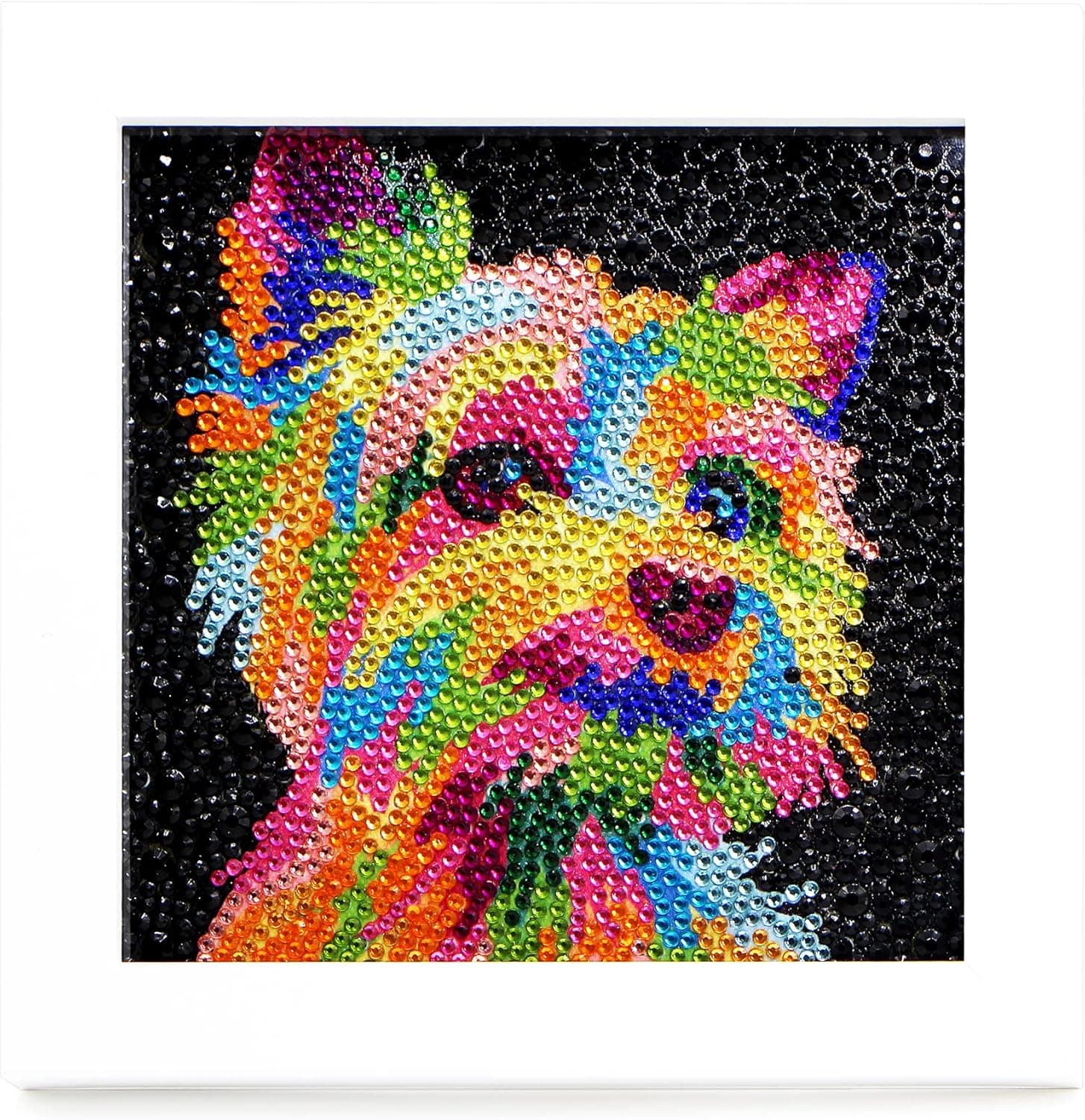 FURDOHAI 5d Diamond Painting for Kids Suitable for Ages 6-12 Diamond Art and Crafts Creative Gift (B-Dog)