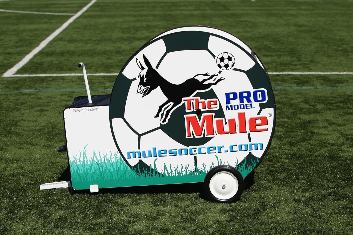 Mule Pro Trainer