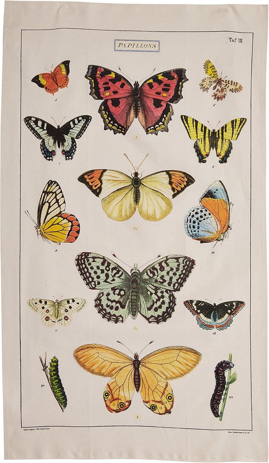 Cavallini Papers Vintage Butterflies Cotton Tea Towel