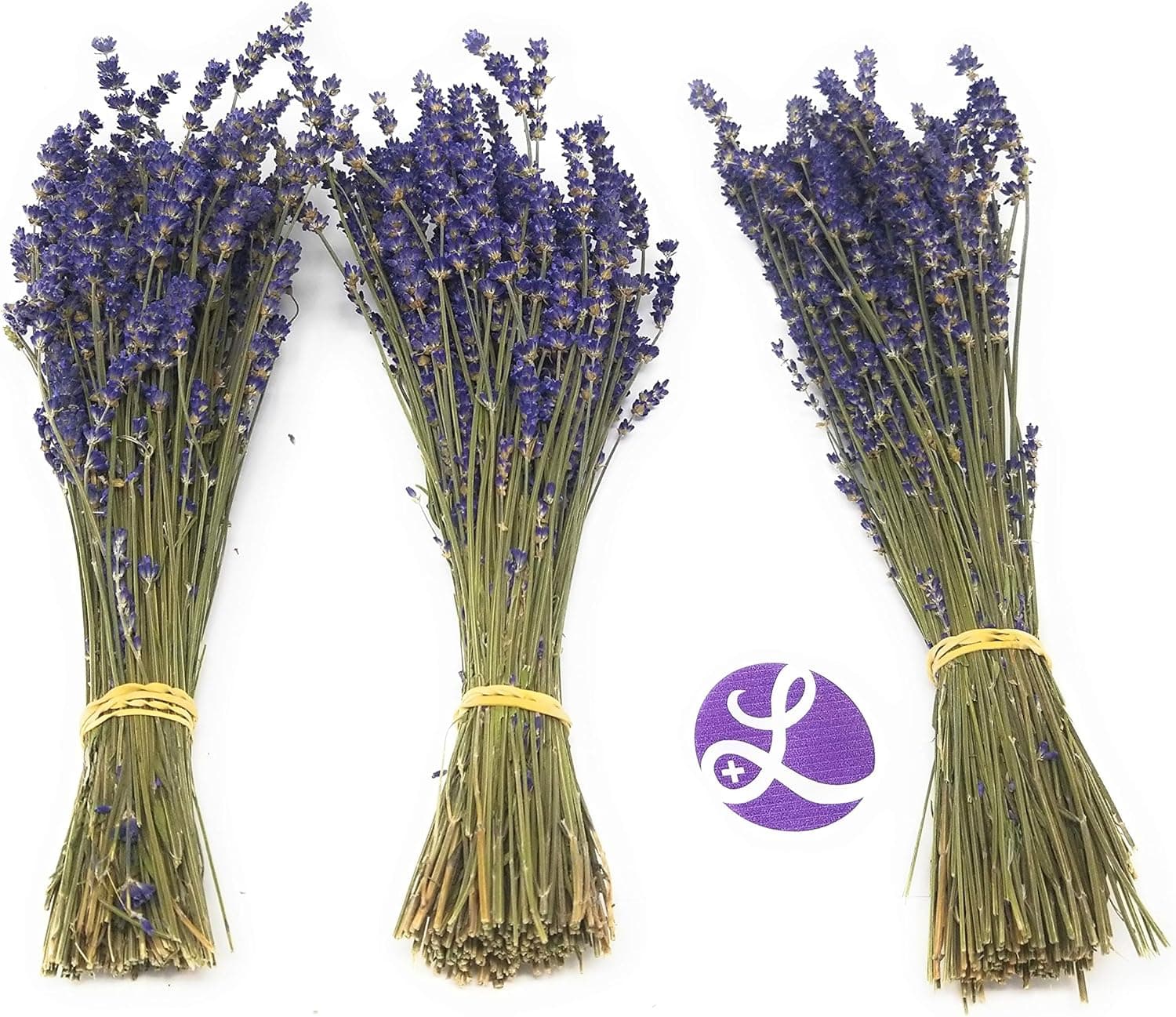 Findlavender Lavender Bundles 14" - 16" Long, 100% Natural Dried Lavender, for Home Decoration, for Home Fragrance, for Any Event, 5 Bundle Pack