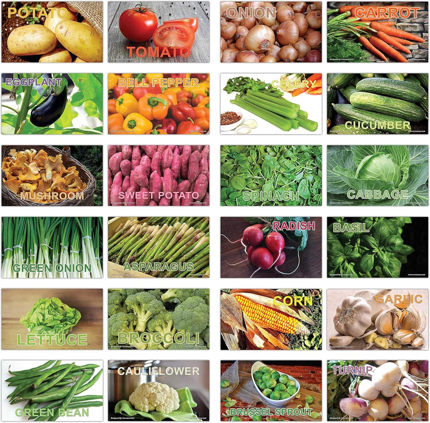 Creanoso Vegetables Basic Learning Identification Flashcards for Children (12 Cards x 5 Set) – Mini Educational Information Cards Set – Unique Gift Set for Boys, Girls - Teaching Learning Bulk Pack