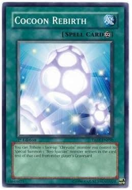 Yu-Gi-Oh! - Cocoon Rebirth (TAEV-EN050) - Tactical Evolution - 1st Edition - Common