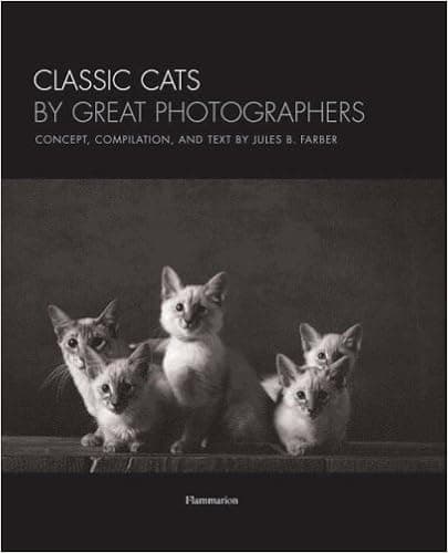 Classic Cats by Great Photographers