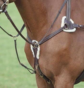 Shires 5 Point Breastplate Full Dark Brown