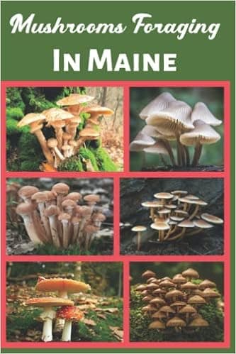Mushrooms Foraging In Maine: A Mushroom Gathering and Identification Journal Record Logbook, Mushroom Identification Field Guide Record Book, A Unique Gift For Nature Lovers.