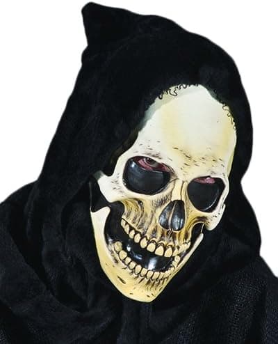 Zagone Studios Men's Hooded Grim Skull