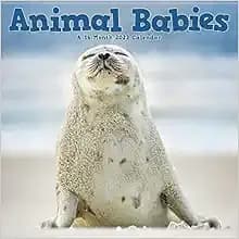 2023 Animal Babies Mini Wall Calendar