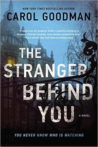 The Stranger Behind You: A Novel