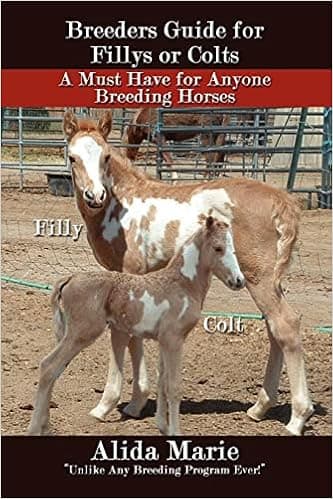 Breeders Guide for Fillys or Colts: A Must Have for Anyone Breeding Horses
