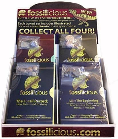 The Young Paleontologist Book and Fossil Set