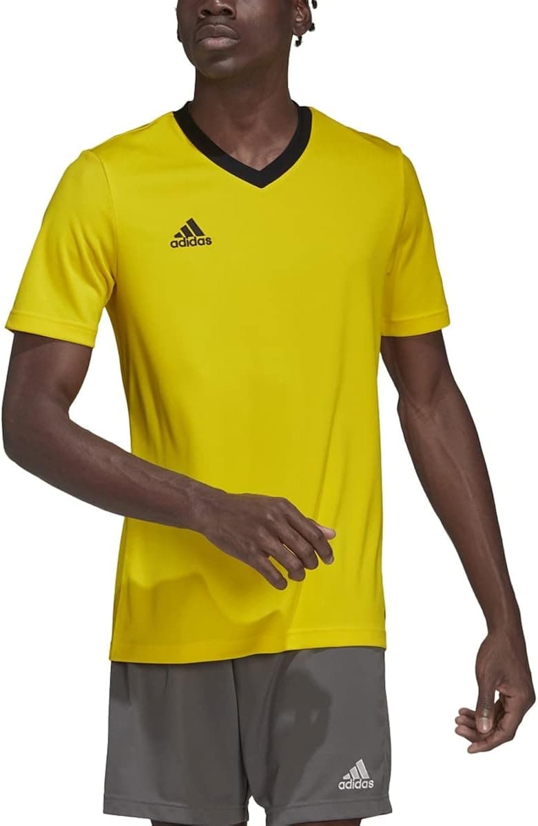 adidas Men's Entrada 22 Graphic Jersey