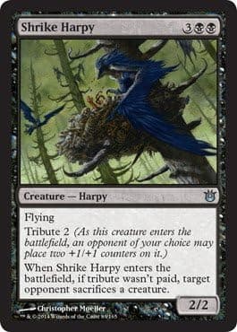 Magic The Gathering - Shrike Harpy (83/165) - Born of The Gods - Foil