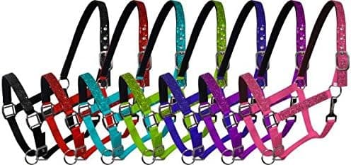 Showman Cob Sized Nylon Sparkle Glitter Halter. Neoprene Lined Nose and Crown. Eyelets on Crown and Adjustable Nose and Throat Latch. Color Choice