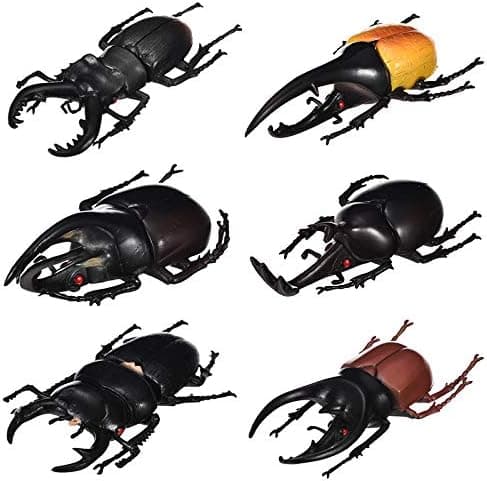 5.5 inch Fake Beetle Simulated Beetle Model Realistic Plastic Beetle Figures for Fairy Garden Decoration, Set of 6