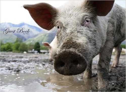 Guest Book Pig: Classic Pig Guest Book (Blank Pages) Option - ON SALE NOW - JUST $6.99 (Animal Guest Books)