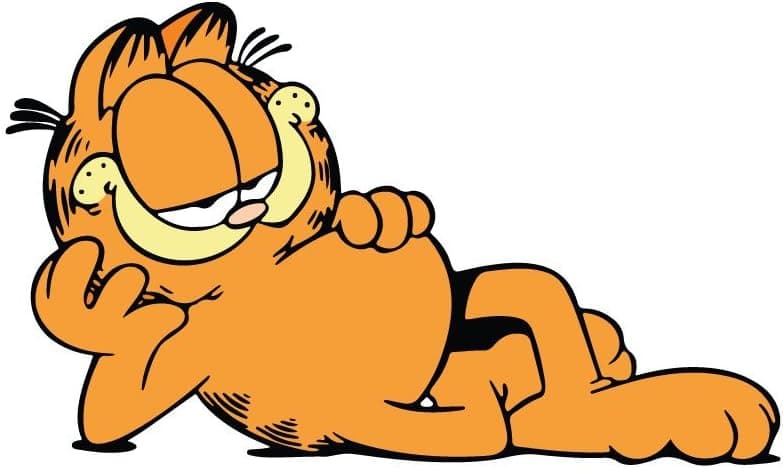 Platinum Stuff Garfield Sticker Decal for Car Window, Bumper, Laptop, Skateboard, Wall, ETC. PT364 (6")