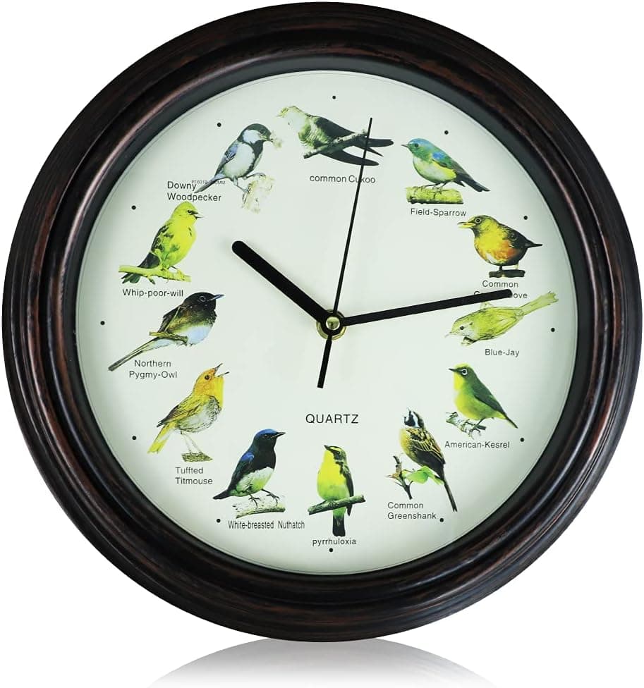 Retro Wall Clock,British Bird Song Clock,Stick on Wall Clock - 30x30x4.2 cm for Living Room Vintage,Bedroom,Kitchen,Outdoor,Garden