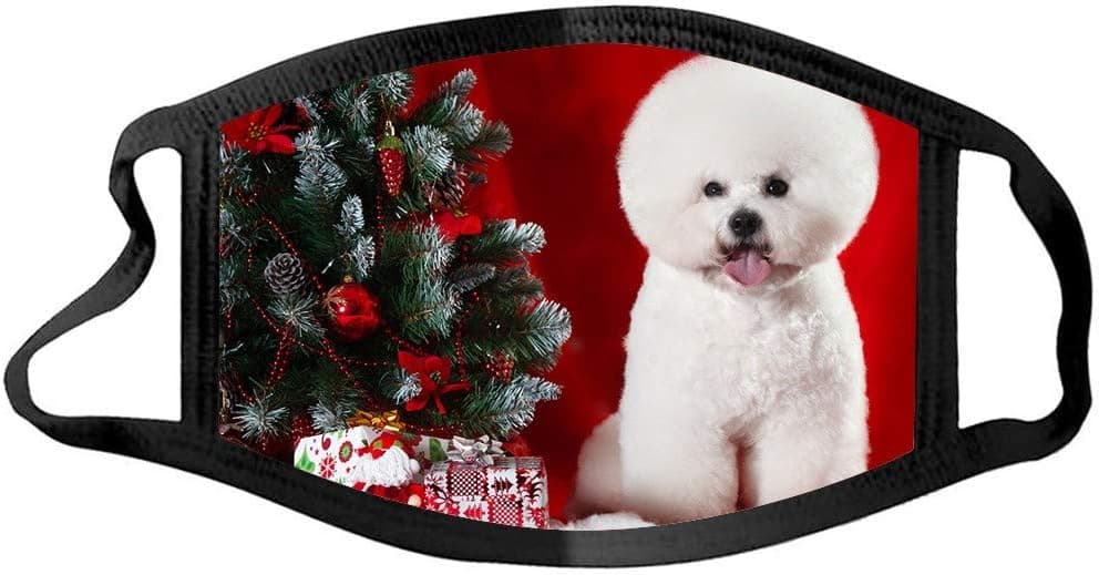 Face Balaclavas for Adults Women and Men Scarf Cover Dustproof Washable Protection Covering Cute Animal Bandana Christmas Print Mouth Covers (Q)