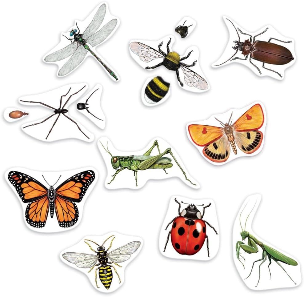 Giant Magnetic Insects