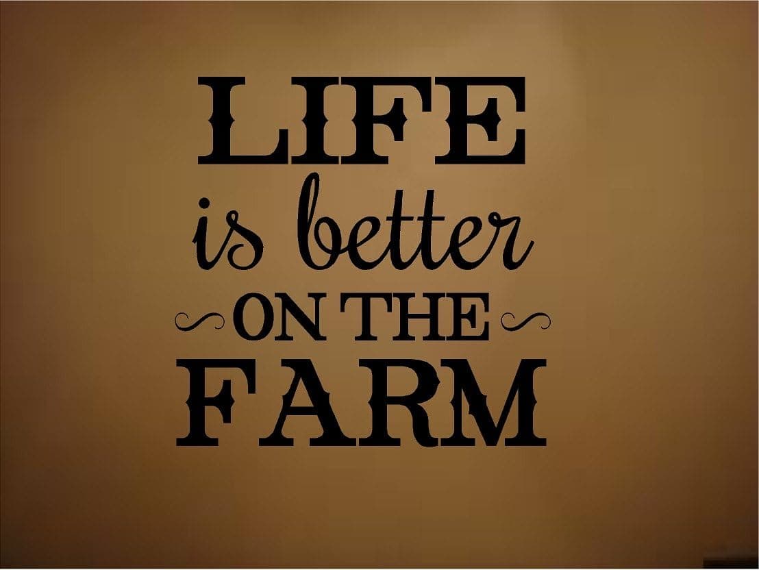 LIFE IS BETTER ON THE FARM WALL DECAL HOME DECOR WALL LETTERS LARGE DECAL 15"X15"