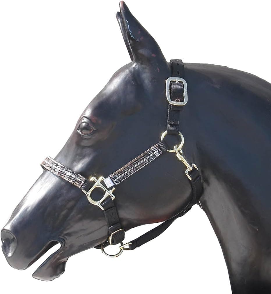 Kensington Halter Set with Matching Lead Rope — Padded Nose for Comfort and Throat Snap for Easy Haltering — Coordinating Poly Lead Rope is 9.5’ x 5/8”