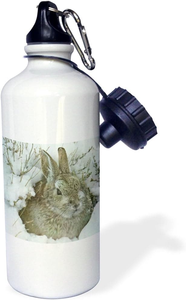 3dRose Ballerina Prepares Sports Water Bottle, 21 oz, White