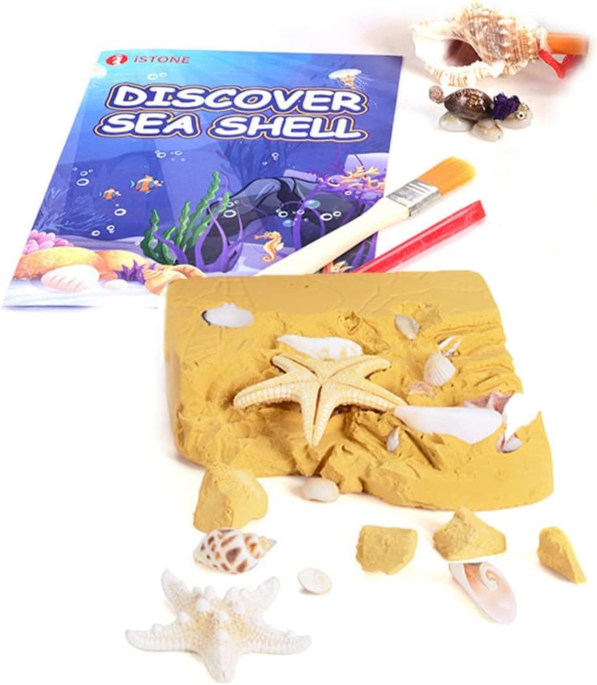 iSTONE Jewelry Excavation Kit 20 Natural Sea Shell Starfish Dig It Up Ocean Sea Animal Toys Dig Kits Great Science Kit for Kids