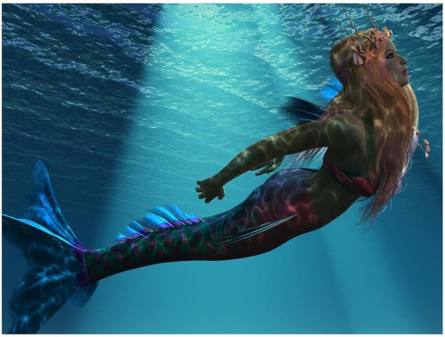 Mermaid Of The Sea Poster 19 x 13in