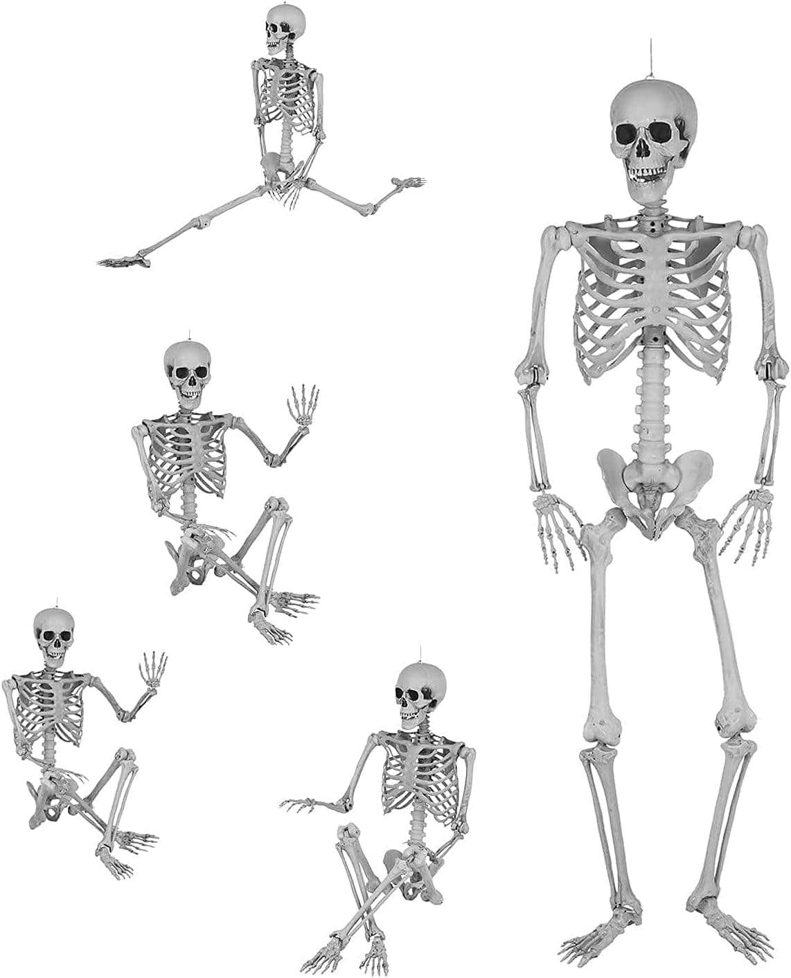 FiveShops 65Inch Full Body Halloween Skeleton - 2021 Halloween Life Size Realistic Human Bones Suitable Full Body Halloween Skeleton with Movable Joints for Best Halloween Decoration Parties (White)