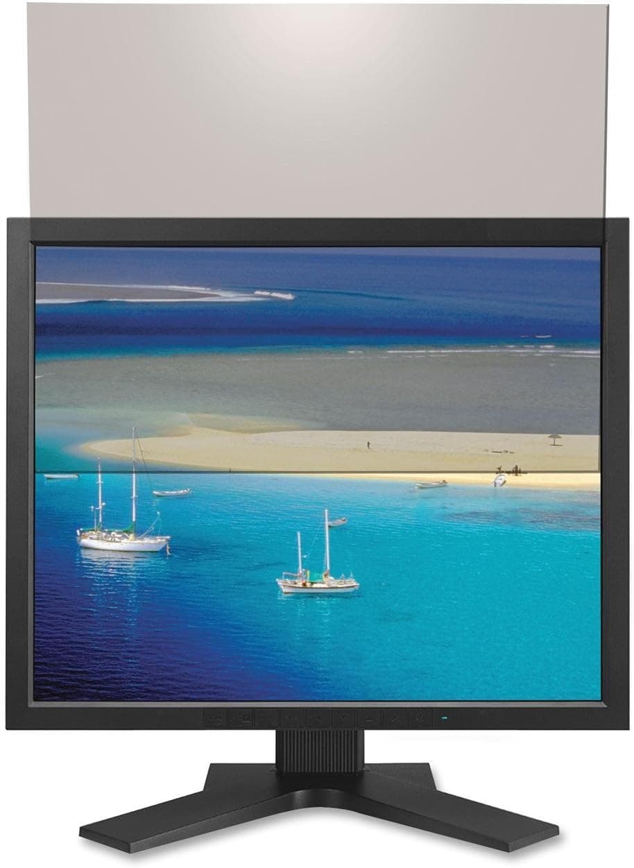 Kantek Economy Standard Filter for 22-Inch Widescreen LCD Monitors (LX22W)