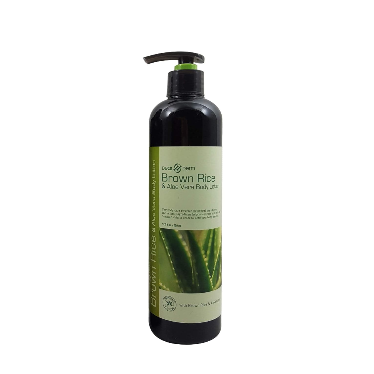 Brown Rice & Aloe Vera Body Lotion by Dear & Derm