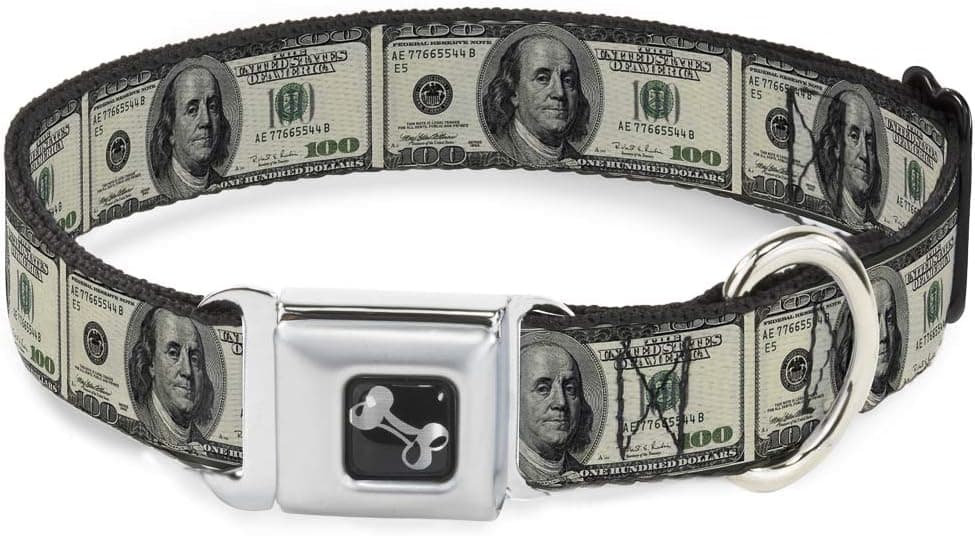Buckle-Down Seatbelt Buckle Dog Collar - 100 Dollar Bills - 1" Wide - Fits 9-15" Neck - Small