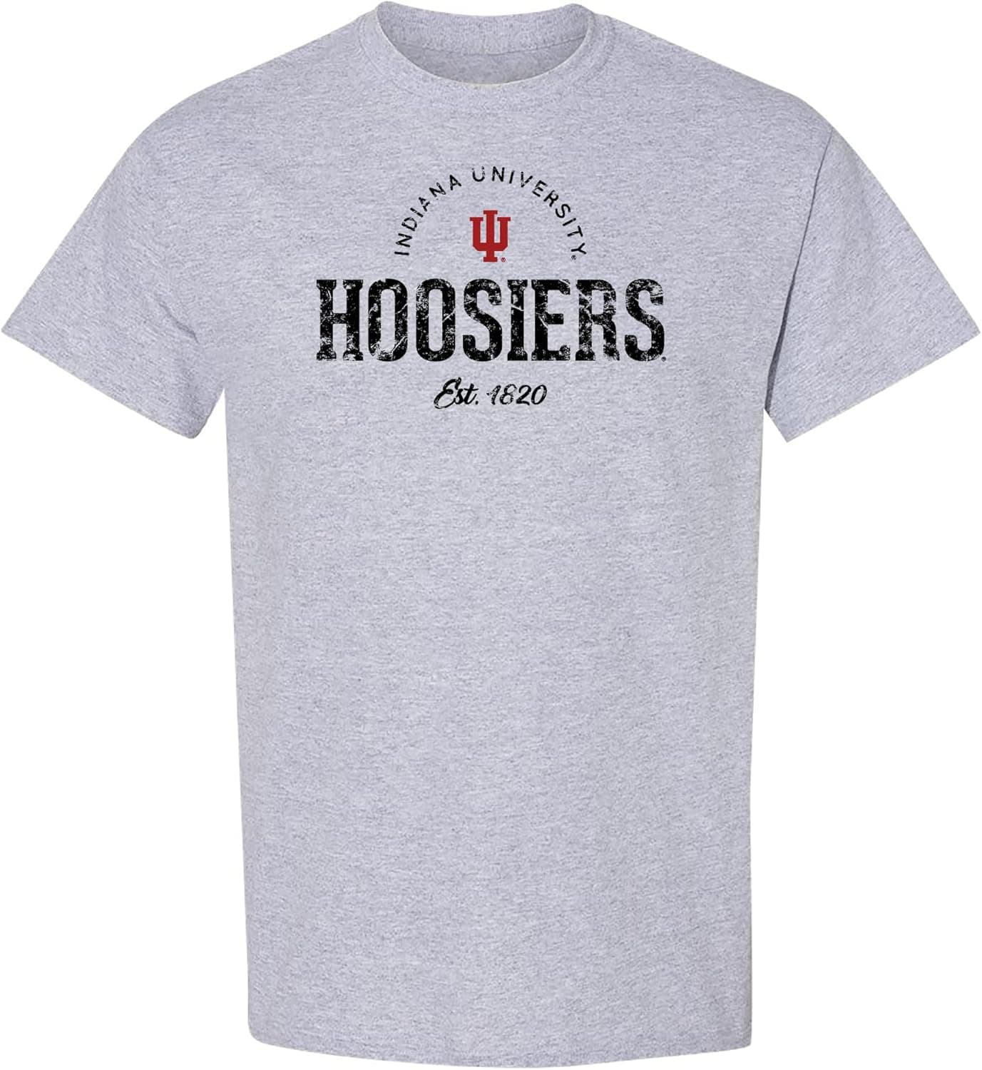 NCAA Arch Establish Logo, Team Color T Shirt, College, University
