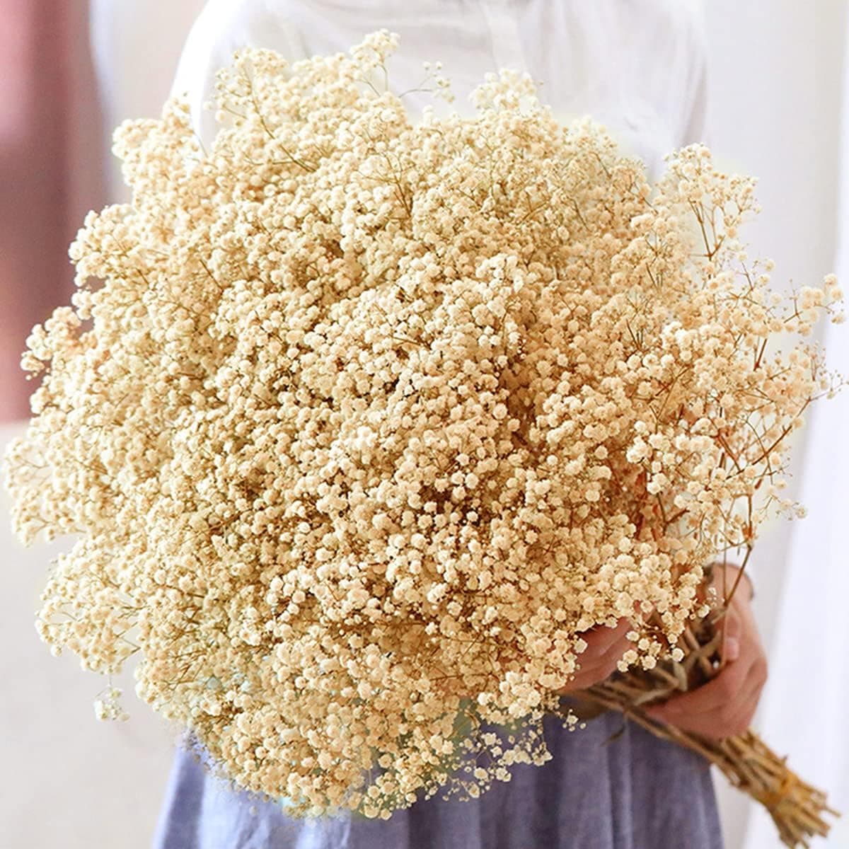 beerfingo Dried-Babys-Breath-Flowers-Bouquet-17 inch 5000+ Ivory White Flowers, Natural Gypsophila Branches for Wedding, DIY Home Party Decor, Table Vase Decor for Parents, Friend, Children (5.7oz)