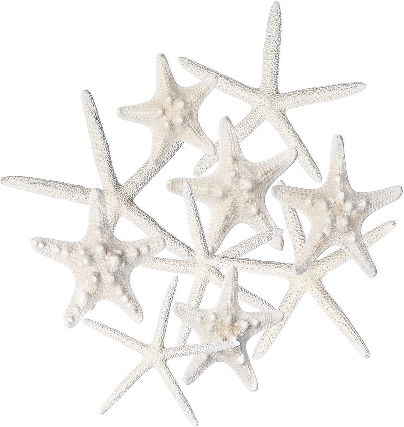 Starfish Decor - 10 Pack Assorted Star Fish 2-6 Inch - Starfish for Crafts - White Starfish Wall Décor - Beach Wedding Starfish - Beach Starfish Décor - Star Fish Decorations - Shells for Decoration