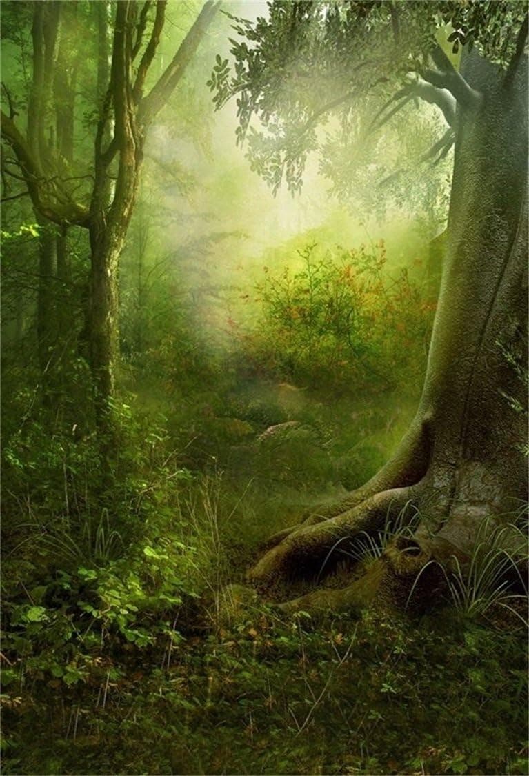 AOFOTO 5x7ft Enchanted Foggy Forest Background Magic Woods Photography Backdrop Dreamy Fairytale Tree Kid Child Boy Girl Lover Artistic Portrait Photoshoot Studio Props Video Back Drop Wallpaper