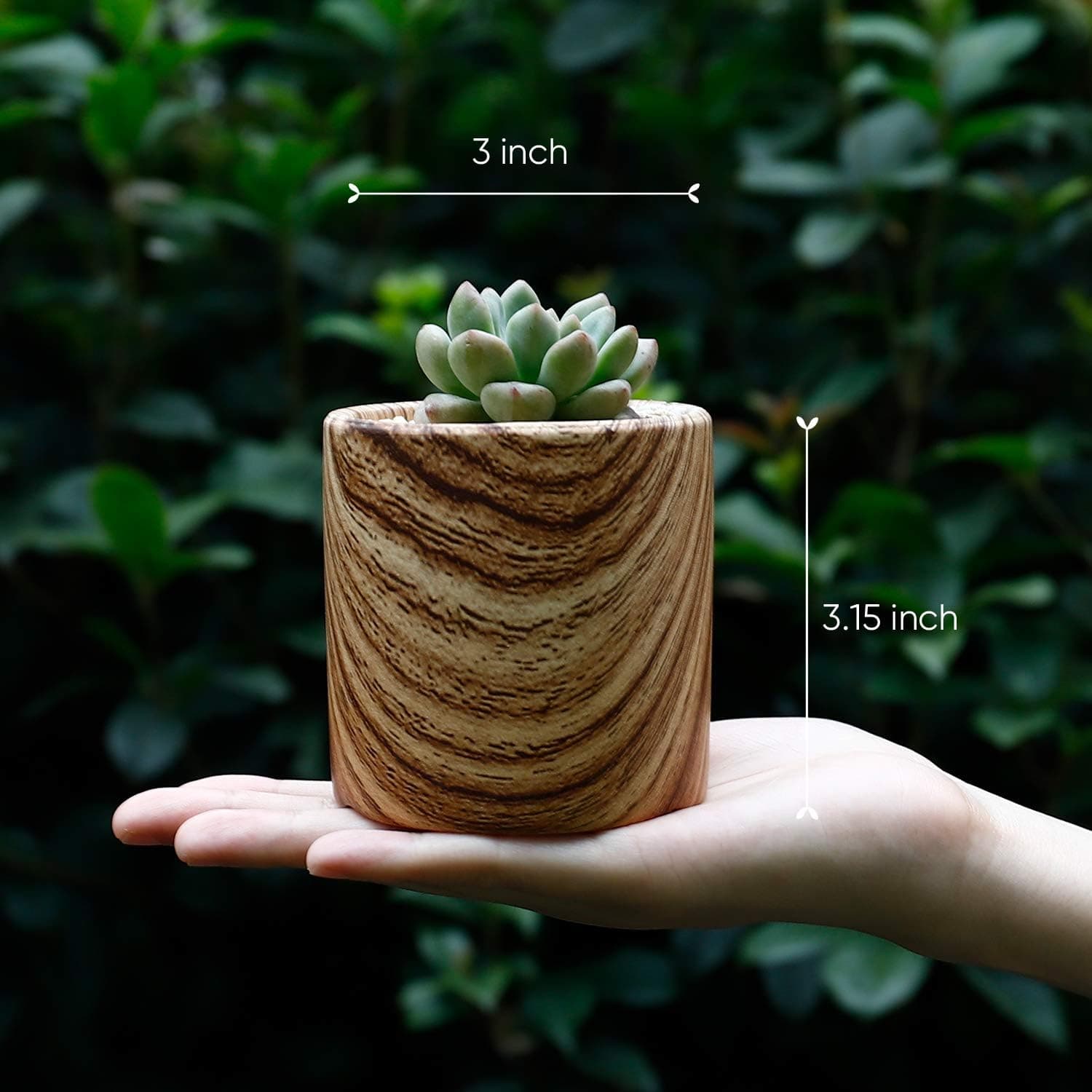 Succulent Plant Pots - 3 Inch Small Ceramic Cylindrical Planter Containers for Flowers or Cactus with Drainage Hole and Bamboo Tray - Wood Grain Set of 3