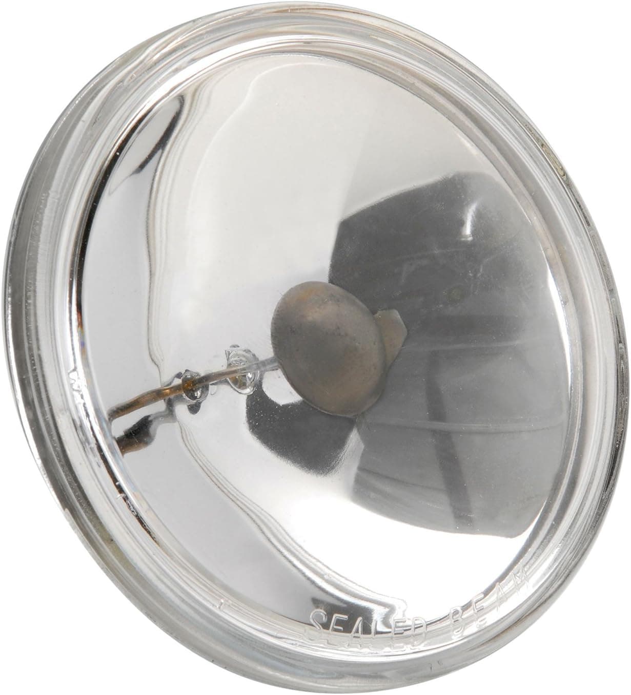 30W 6V PAR36 Spot Lamp