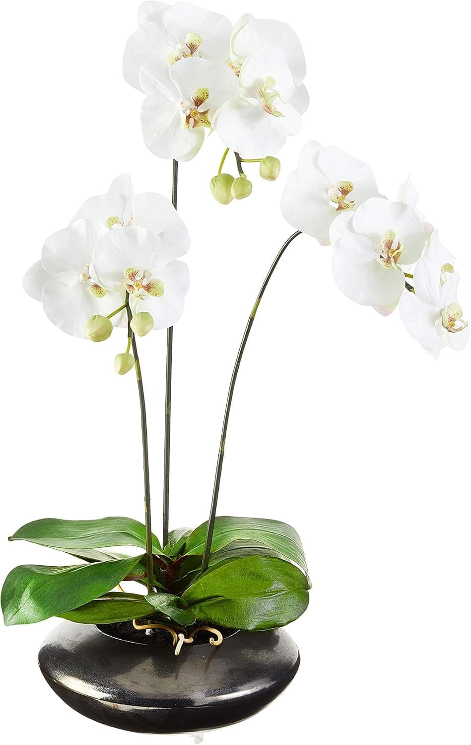 Silk Decor 31-Inch Phalaenopsis Plant, White/Green